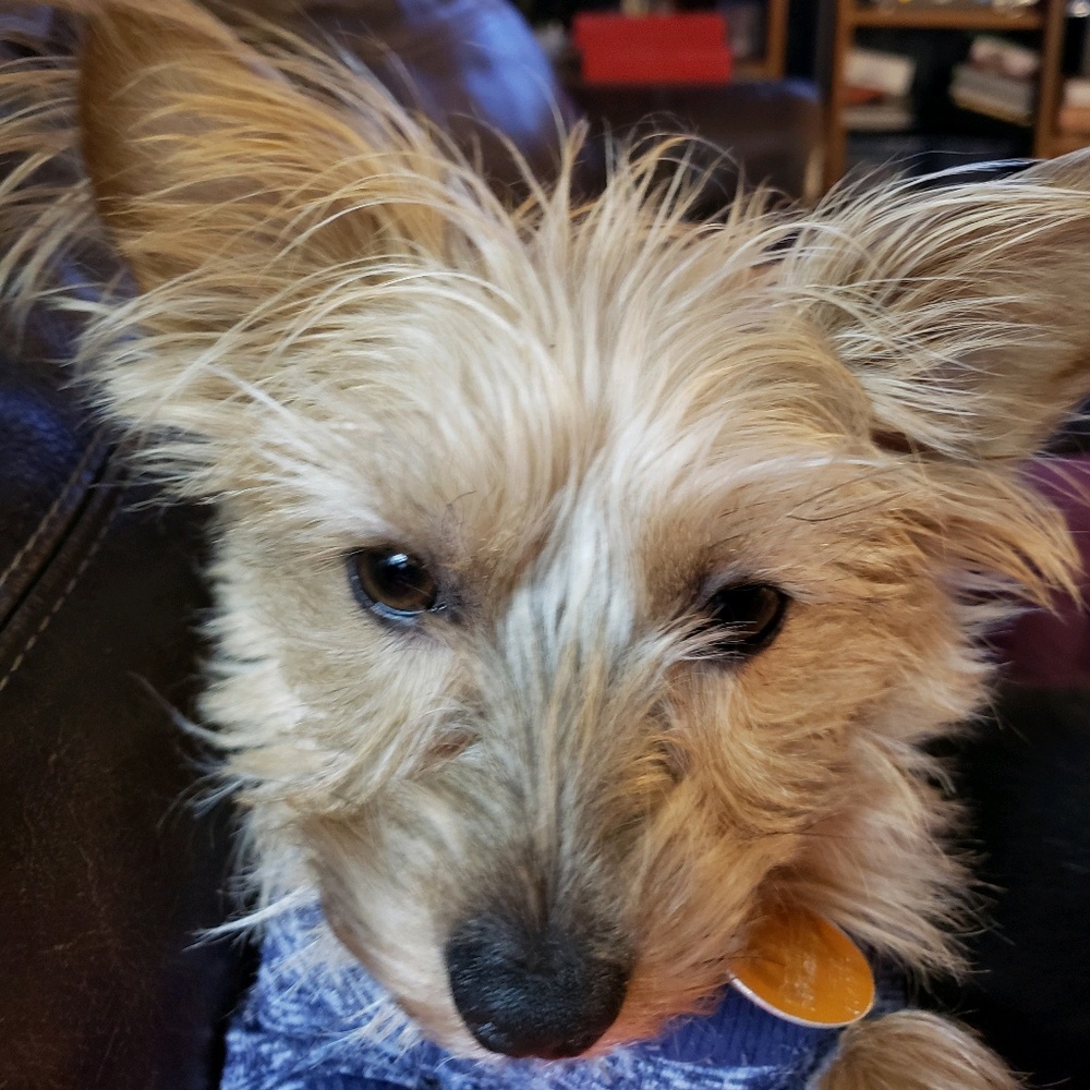 Meet your Posher, Susan